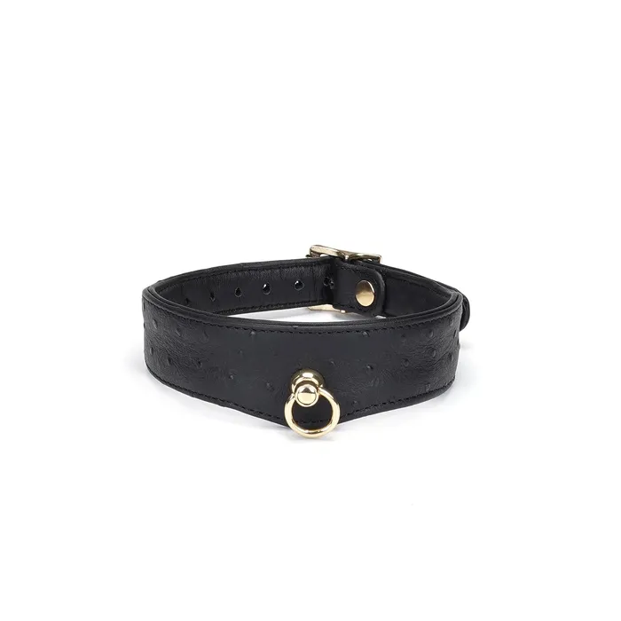 Liebe Seele - Demon's Kiss - Smalle Curved Collar Met Leash - Luxe En exclusief ontwerp - Zwart/Goud | Liebe Seele Female Sex Toys