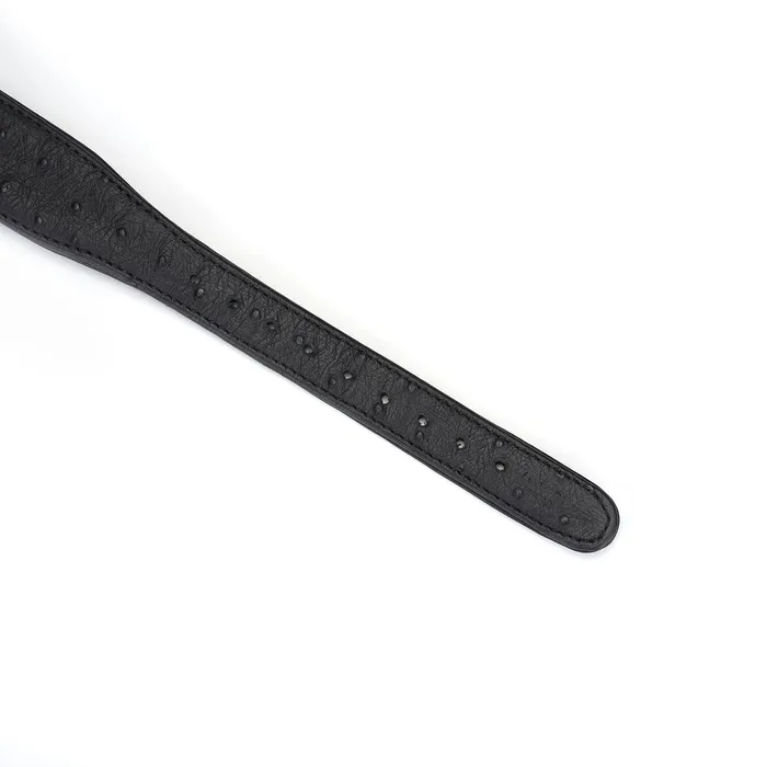 Liebe Seele - Demon's Kiss - Smalle Curved Collar Met Leash - Luxe En exclusief ontwerp - Zwart/Goud | Liebe Seele Female Sex Toys