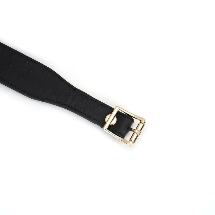 Liebe Seele - Demon's Kiss - Smalle Curved Collar Met Leash - Luxe En exclusief ontwerp - Zwart/Goud | Liebe Seele Female Sex Toys