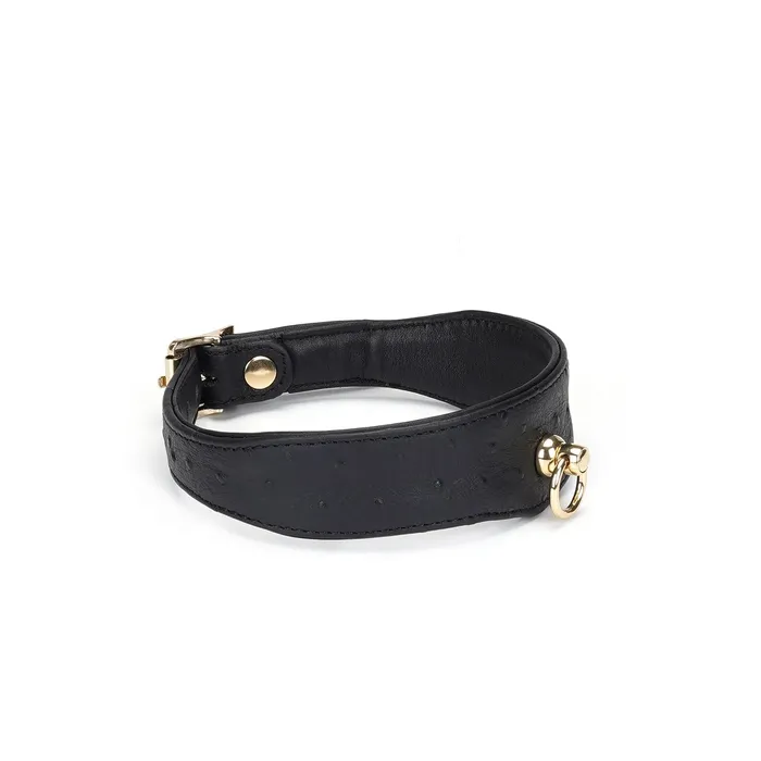 Liebe Seele - Demon's Kiss - Smalle Curved Collar Met Leash - Luxe En exclusief ontwerp - Zwart/Goud | Liebe Seele Female Sex Toys